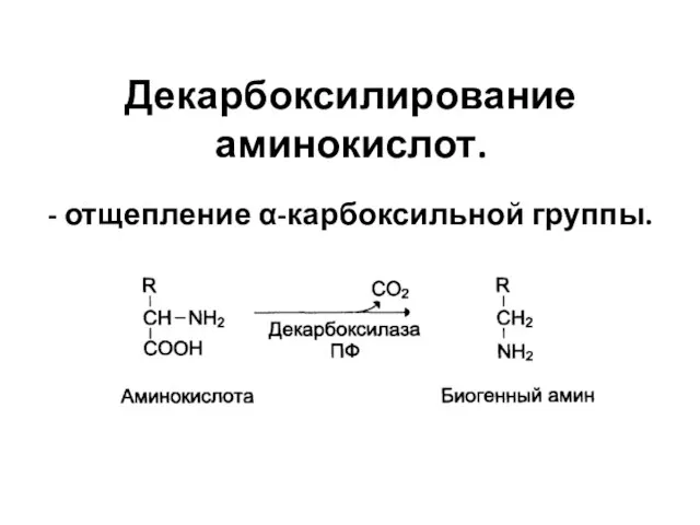 Декарбоксилирование аминокислот. - отщепление α-карбоксильной группы.