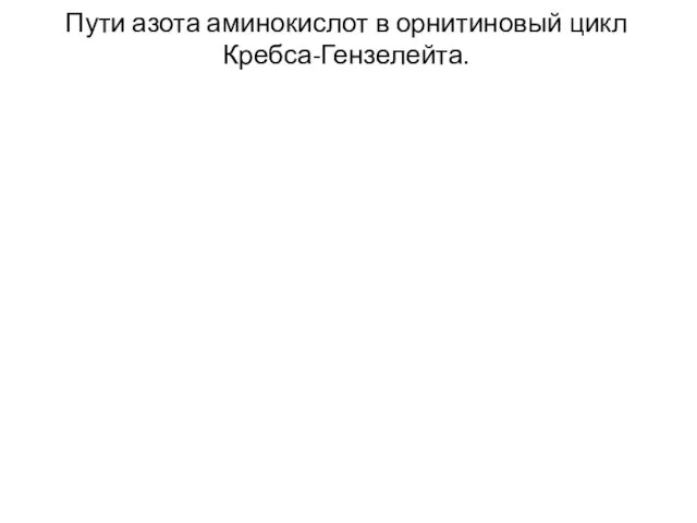 Пути азота аминокислот в орнитиновый цикл Кребса-Гензелейта.