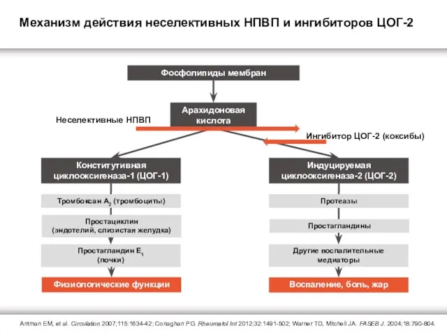 Арахидоновая кислота Фосфолипиды мембран Конститутивная циклооксигеназа-1 (ЦОГ-1) Индуцируемая циклооксигеназа-2 (ЦОГ-2) Тромбоксан