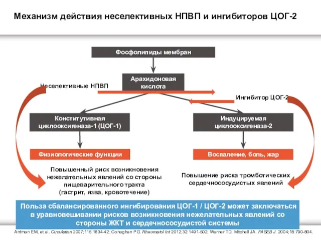 Арахидоновая кислота Фосфолипиды мембран Конститутивная циклооксигеназа-1 (ЦОГ-1) Индуцируемая циклооксигеназа-2 Воспаление, боль,