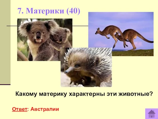 7. Материки (40) Какому материку характерны эти животные? Ответ: Австралии