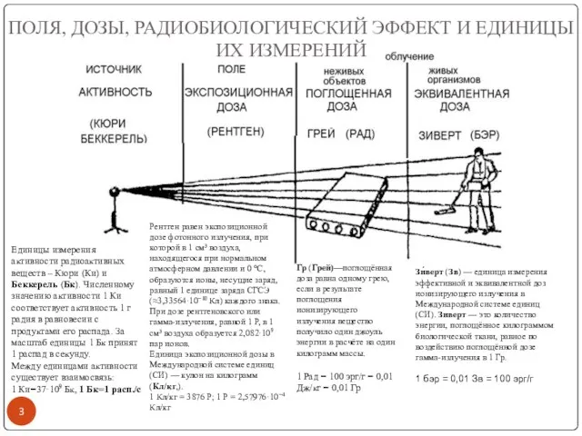 ПОЛЯ, ДОЗЫ, РАДИОБИОЛОГИЧЕСКИЙ ЭФФЕКТ И ЕДИНИЦЫ ИХ ИЗМЕРЕНИЙ Рентген равен экспозиционной