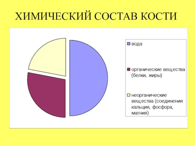 ХИМИЧЕСКИЙ СОСТАВ КОСТИ