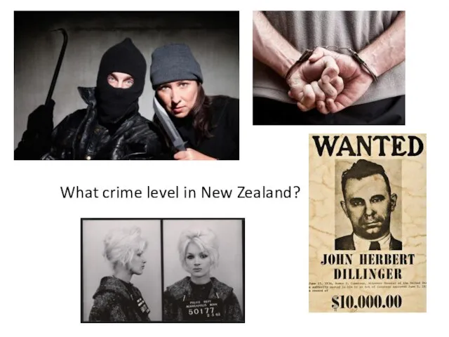 What crime level in New Zealand?