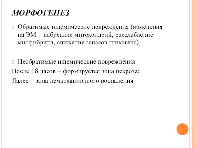 МОРФОГЕНЕЗ Обратимые ишемические повреждения (изменения на ЭМ – набухание митохондрий, расслабление