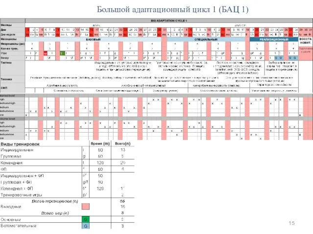 Большой адаптационный цикл 1 (БАЦ 1)