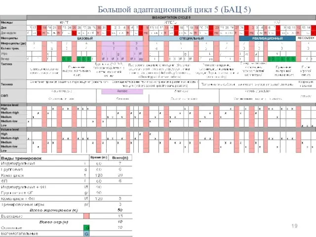 Большой адаптационный цикл 5 (БАЦ 5)