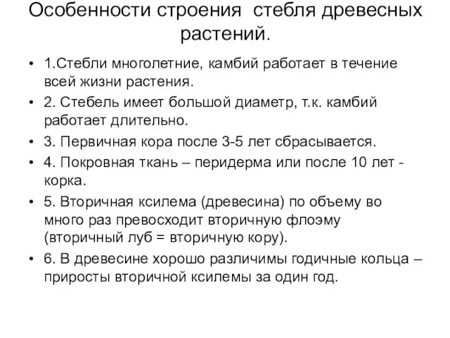 Особенности строения стебля древесных растений. 1.Стебли многолетние, камбий работает в течение