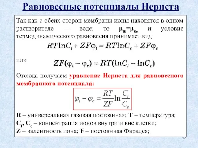 Равновесные потенциалы Нернста Так как с обеих сторон мембраны ионы находятся