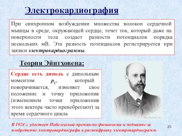 Электрокардиография Теория Эйнтховена: Сердце есть диполь с дипольным моментом рС, который