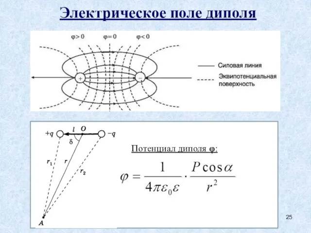 Электрическое поле диполя Потенциал диполя φ: