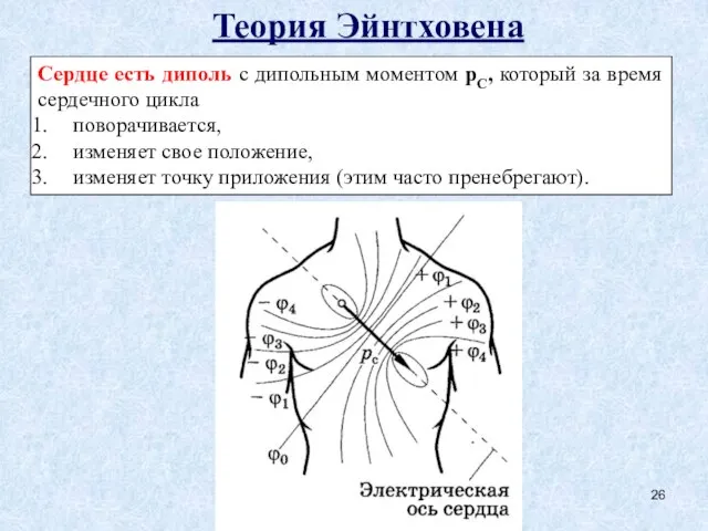 Теория Эйнтховена Сердце есть диполь с дипольным моментом рС, который за