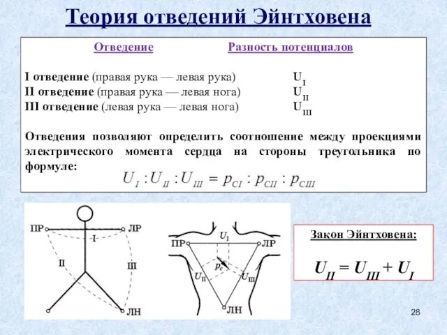 Теория отведений Эйнтховена Отведение Разность потенциалов I отведение (правая рука —