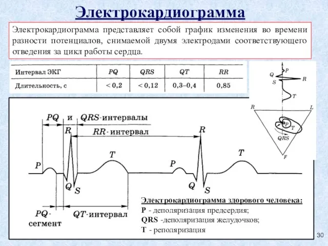 Электрокардиограмма Электрокардиограмма представляет собой график изменения во времени разности потенциалов, снимаемой