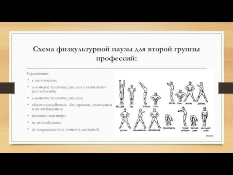 Схема физкультурной паузы для второй группы профессий: Упражнения: в потягивании; для