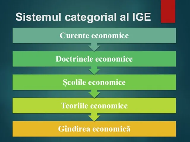 Sistemul categorial al IGE