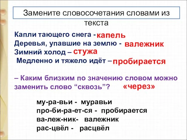 Капли тающего снега - Деревья, упавшие на землю - Зимний холод