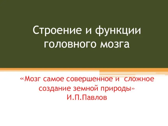 Строение и функции головного мозга «Мозг самое совершенное и сложное создание земной природы» И.П.Павлов