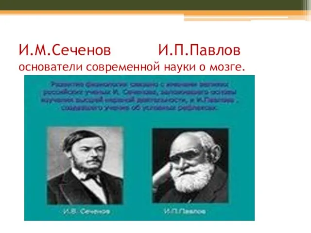 И.М.Сеченов И.П.Павлов основатели современной науки о мозге.