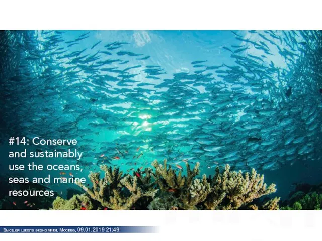 #14: Conserve and sustainably use the oceans, seas and marine resources