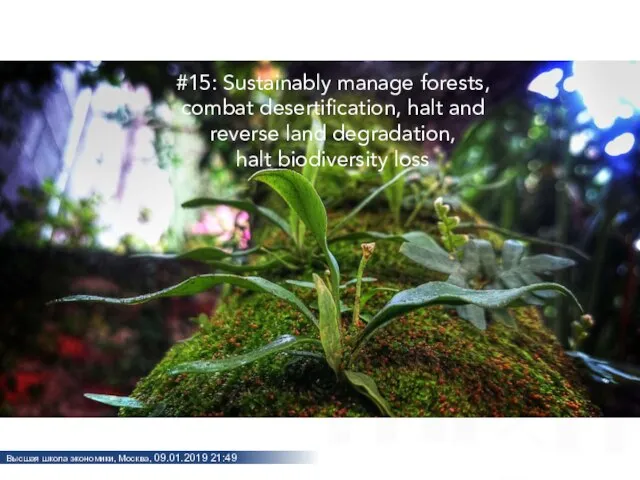 #15: Sustainably manage forests, combat desertification, halt and reverse land degradation, halt biodiversity loss