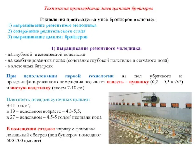 Технология производства мяса цыплят бройлеров Технология производства мяса бройлеров включает: 1)