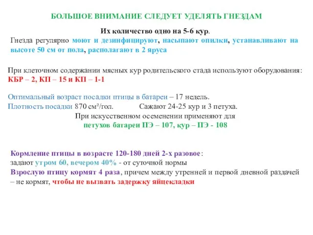 БОЛЬШОЕ ВНИМАНИЕ СЛЕДУЕТ УДЕЛЯТЬ ГНЕЗДАМ Их количество одно на 5-6 кур.