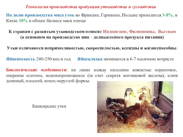 Технология производства продукции утководства и гусеводства На долю производства мяса уток