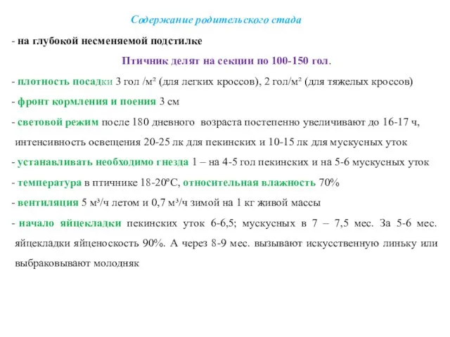 Содержание родительского стада на глубокой несменяемой подстилке Птичник делят на секции