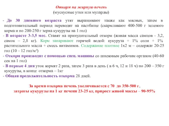 Откорм на жирную печень (мускусные утки или муларды) До 30 дневного