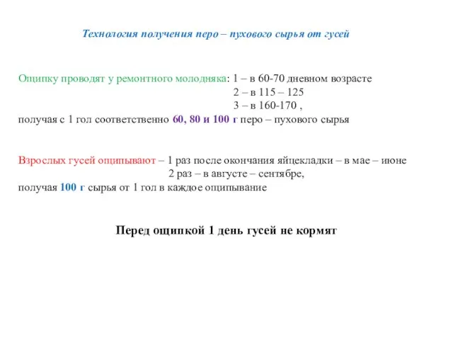 Технология получения перо – пухового сырья от гусей Ощипку проводят у