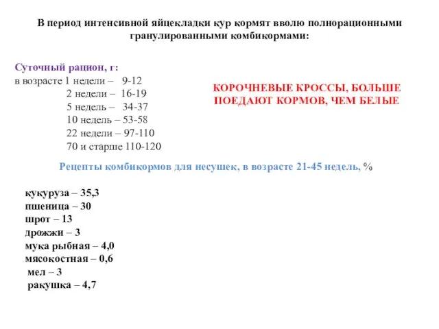 В период интенсивной яйцекладки кур кормят вволю полнорационными гранулированными комбикормами: Суточный