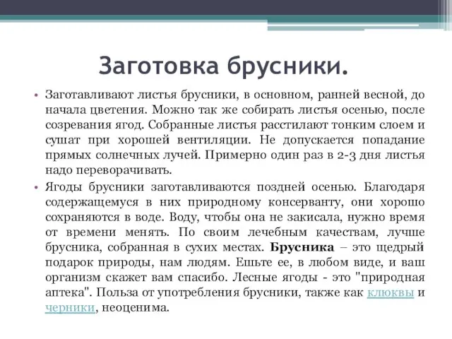 Заготовка брусники. Заготавливают листья брусники, в основном, ранней весной, до начала