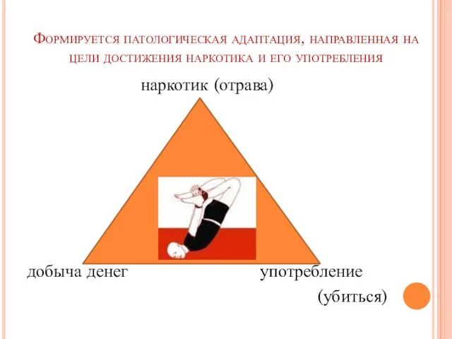 Формируется патологическая адаптация, направленная на цели достижения наркотика и его употребления