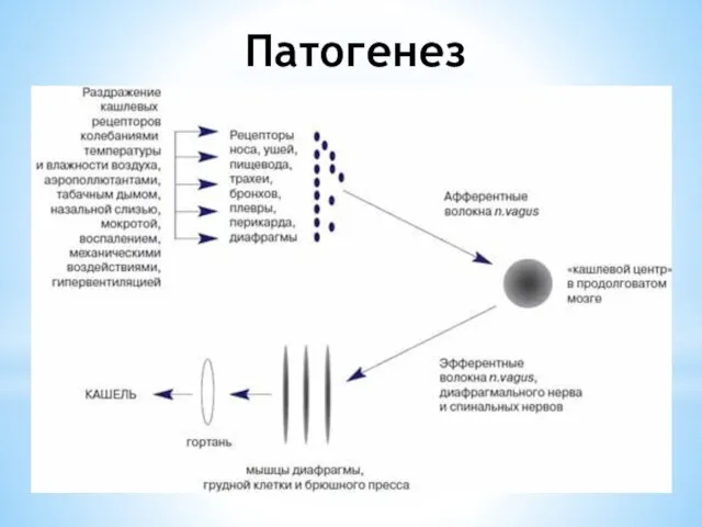 Патогенез