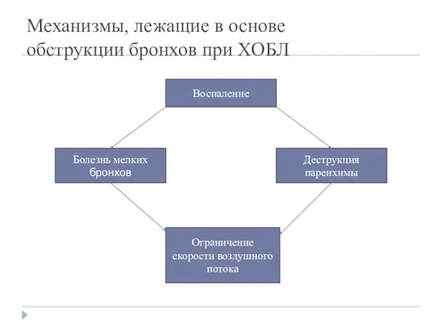 Механизмы, лежащие в основе обструкции бронхов при ХОБЛ Воспаление Болезнь мелких