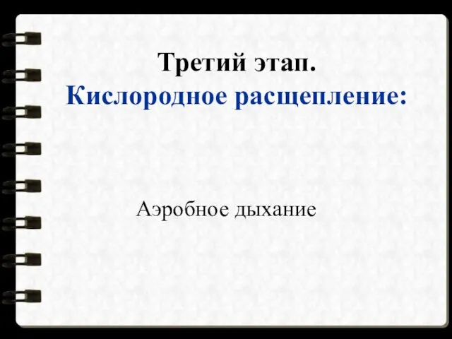 Третий этап. Кислородное расщепление: Аэробное дыхание