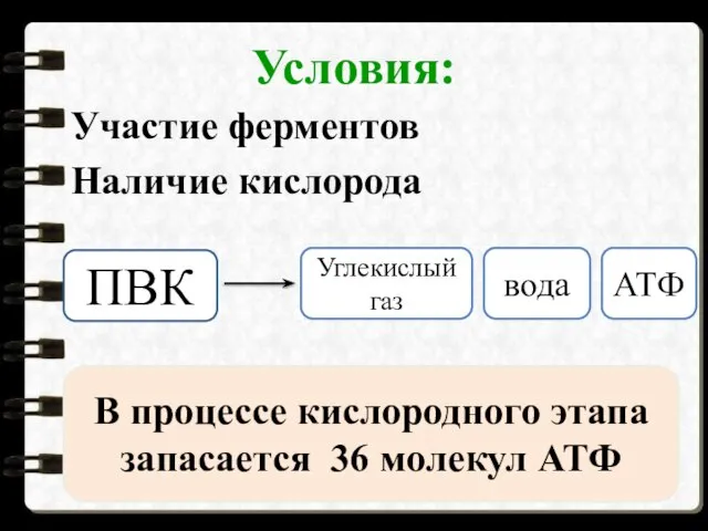 Условия: Участие ферментов Наличие кислорода ПВК Углекислый газ вода АТФ В