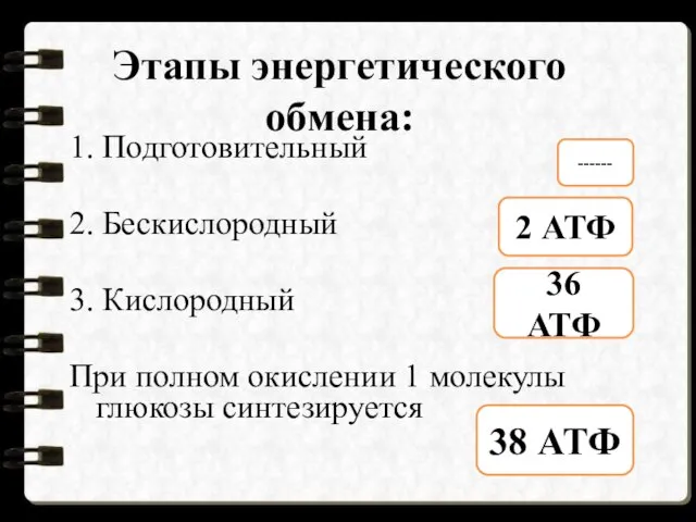 Этапы энергетического обмена: 1. Подготовительный 2. Бескислородный 3. Кислородный При полном