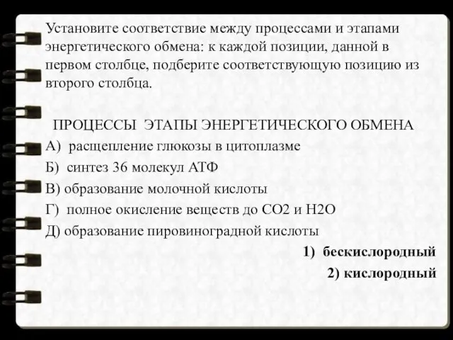 Установите соответствие между процессами и этапами энергетического обмена: к каждой позиции,