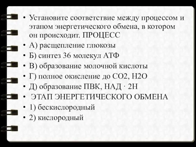 Установите соответствие между процессом и этапом энергетического обмена, в котором он