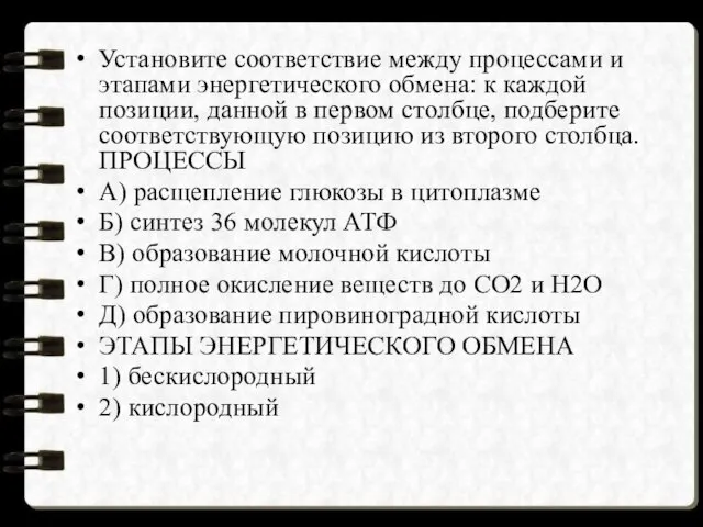 Установите соответствие между процессами и этапами энергетического обмена: к каждой позиции,