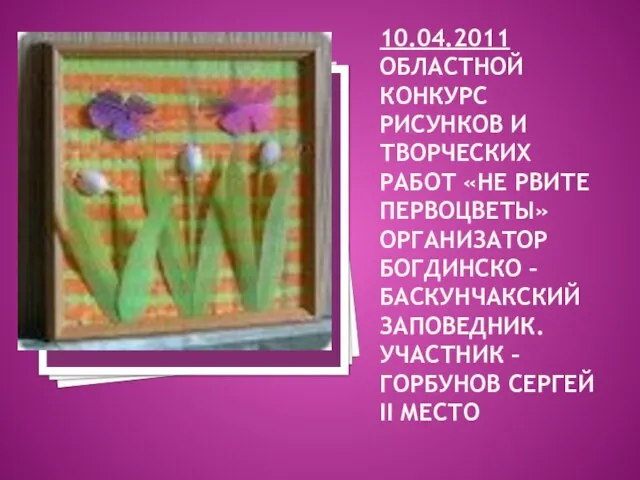 10.04.2011 ОБЛАСТНОЙ КОНКУРС РИСУНКОВ И ТВОРЧЕСКИХ РАБОТ «НЕ РВИТЕ ПЕРВОЦВЕТЫ» ОРГАНИЗАТОР