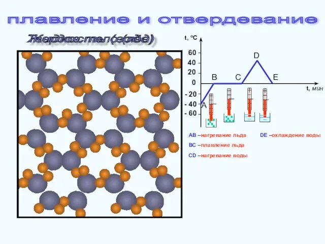 Твердое тело (лёд) Жидкость (вода) - 60 - 40 - 20