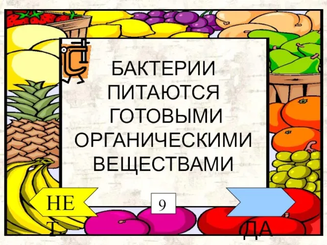 ДА НЕТ БАКТЕРИИ ПИТАЮТСЯ ГОТОВЫМИ ОРГАНИЧЕСКИМИ ВЕЩЕСТВАМИ 9