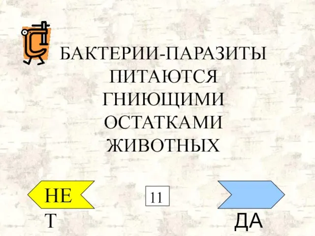 НЕТ ДА БАКТЕРИИ-ПАРАЗИТЫ ПИТАЮТСЯ ГНИЮЩИМИ ОСТАТКАМИ ЖИВОТНЫХ 11