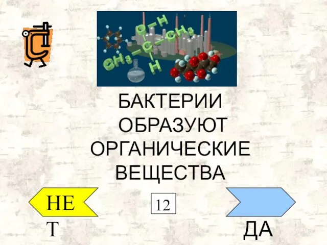 НЕТ ДА БАКТЕРИИ ОБРАЗУЮТ ОРГАНИЧЕСКИЕ ВЕЩЕСТВА 12