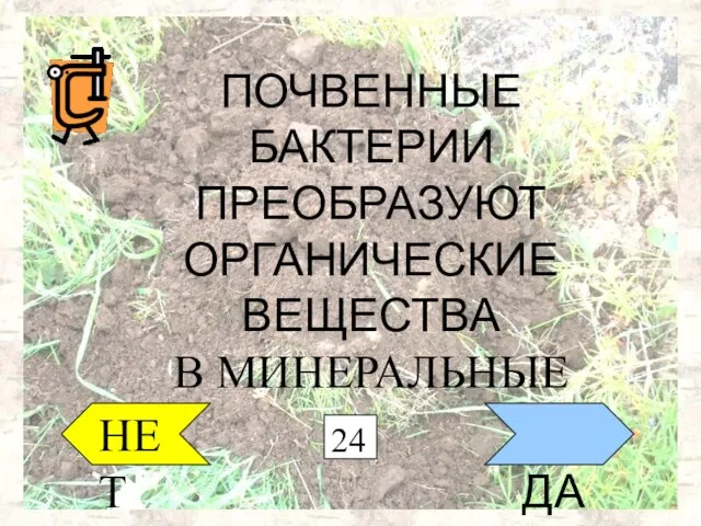 НЕТ ДА ПОЧВЕННЫЕ БАКТЕРИИ ПРЕОБРАЗУЮТ ОРГАНИЧЕСКИЕ ВЕЩЕСТВА В МИНЕРАЛЬНЫЕ 24