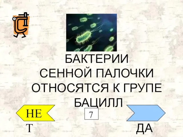 ДА НЕТ БАКТЕРИИ СЕННОЙ ПАЛОЧКИ ОТНОСЯТСЯ К ГРУПЕ БАЦИЛЛ 7