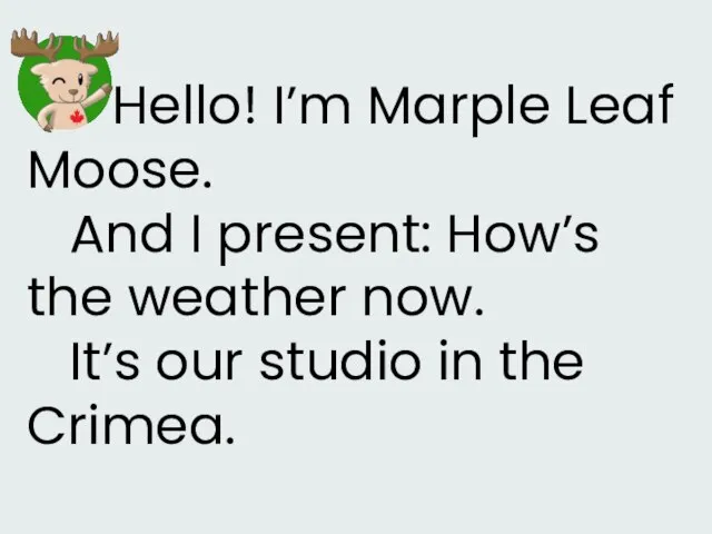 Hello! I’m Marple Leaf Moose. And I present: How’s the weather